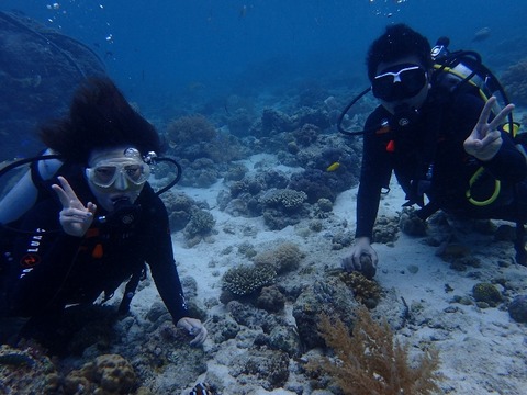 P6160648 (640x480)