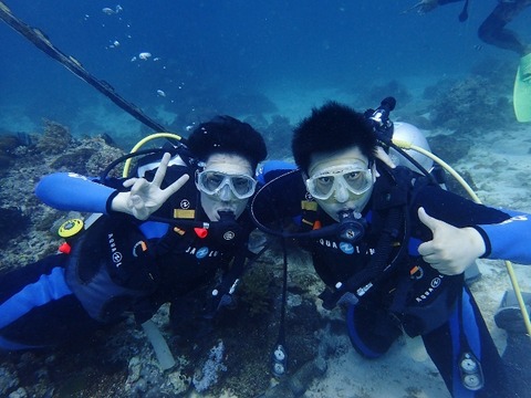 PA230094 (640x480)