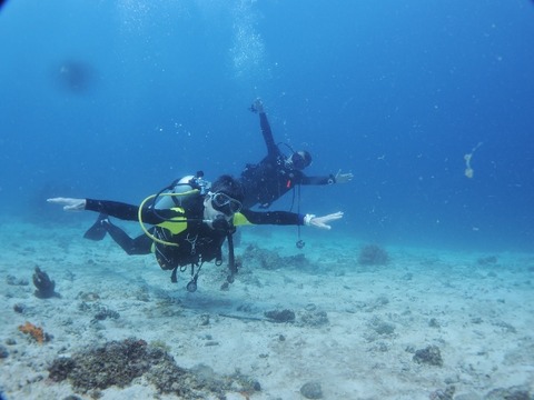 P3060090 (640x480)