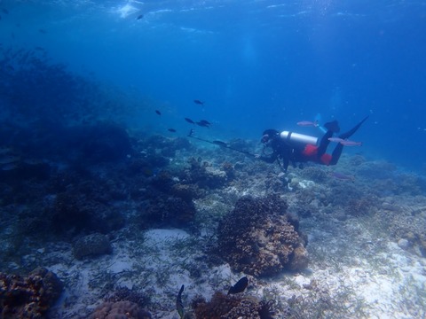 P3080025
