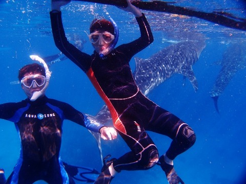 PA103780 (640x480)