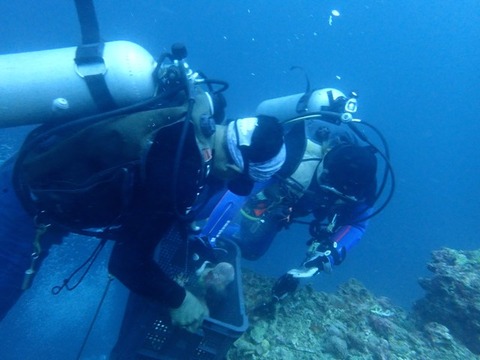 P3090014