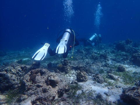 P6280001