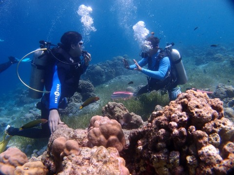 P3152134 (640x480)