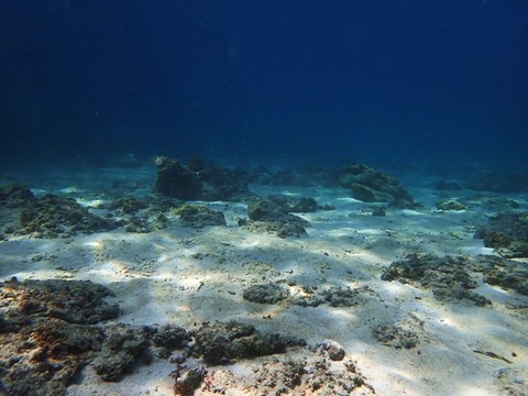 P1300099