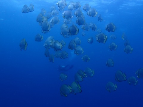 P3080018