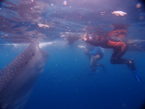 P2012711 (640x480)