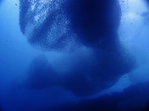 P1013397 (640x480)