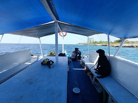 IMG20260815101558
