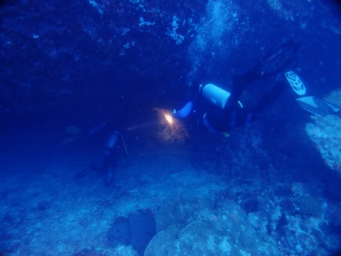 P1012419 (640x480)