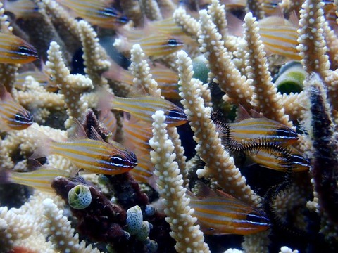 P7280023