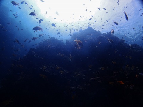 P1018047 (640x480)