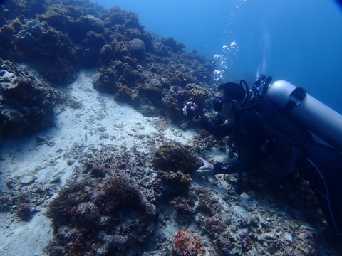 P7250046