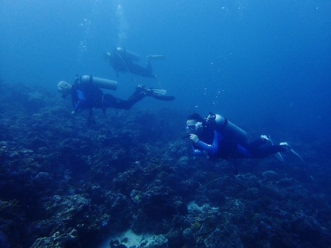 P2160152 (640x480)