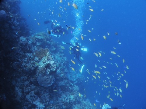 PC280044 (640x480)
