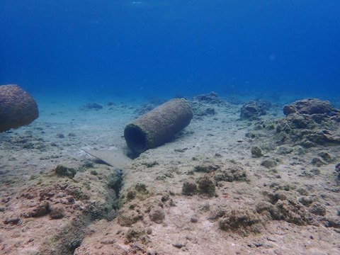 P2230010