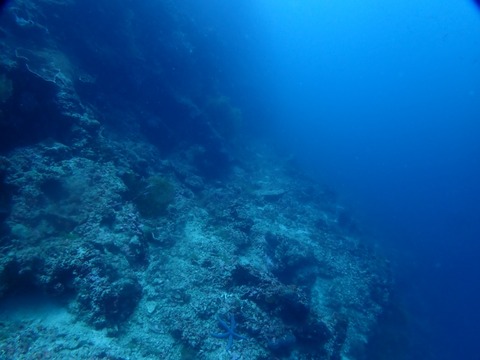 P3180002