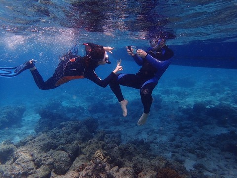 P3182179 (640x480)