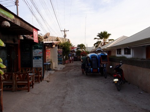 P3200405 (640x480)