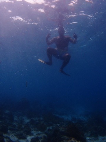 P1017394 (480x640)