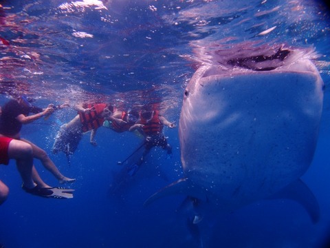 PB073660 (640x480)