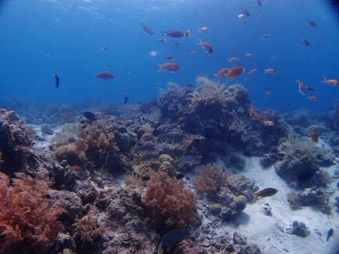 P4169892 (640x480)