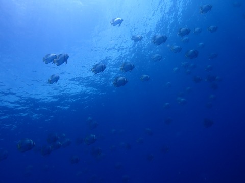 P7020017