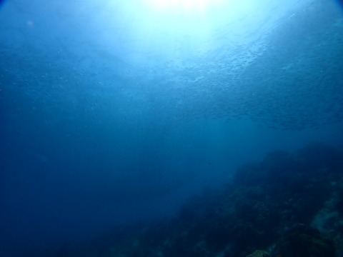 P8030046
