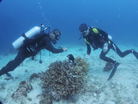 P3060014 (640x480)