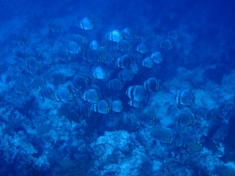 P5200138