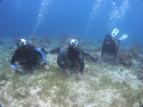PB080107