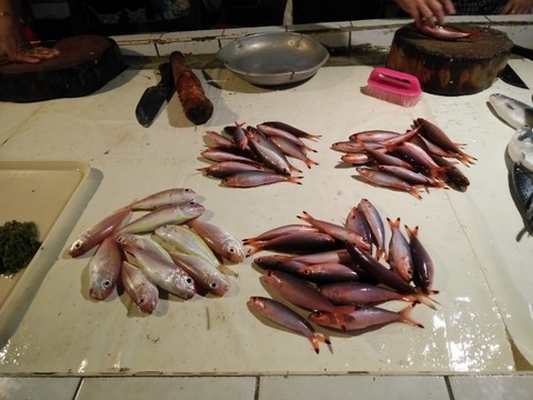 IMG20160814175507 (640x480)