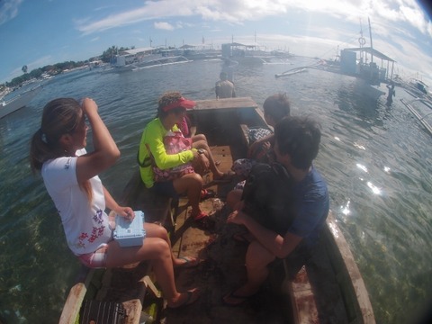 P2261293 (640x480)