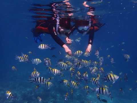 P5240536 (640x480)