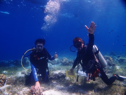 P4190140 (640x480)