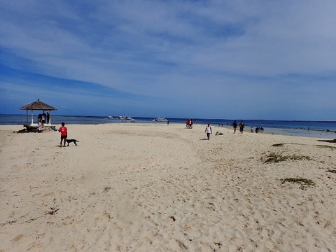 PC160065 (640x480)