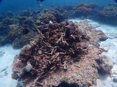 P9190019