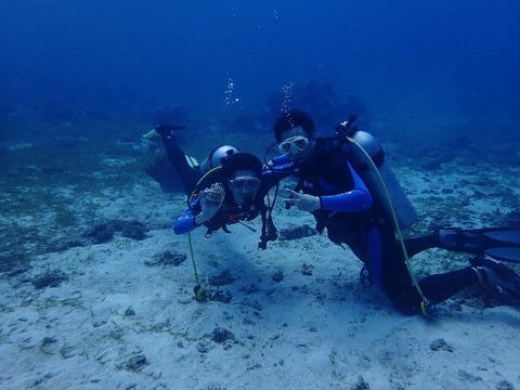PA230193 (640x480)