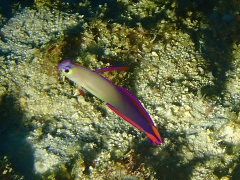 P3020070