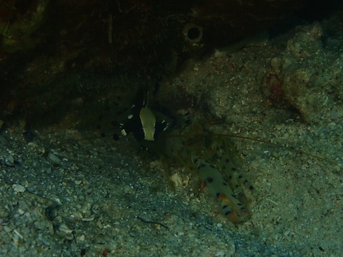 P5070870 (640x480)
