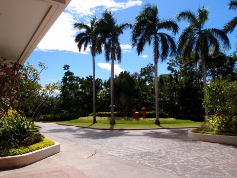 P4144747 (640x480)