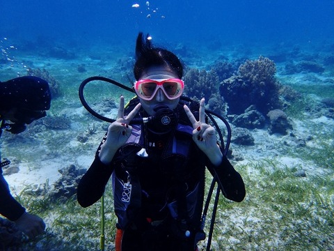 P8150013 (640x480)