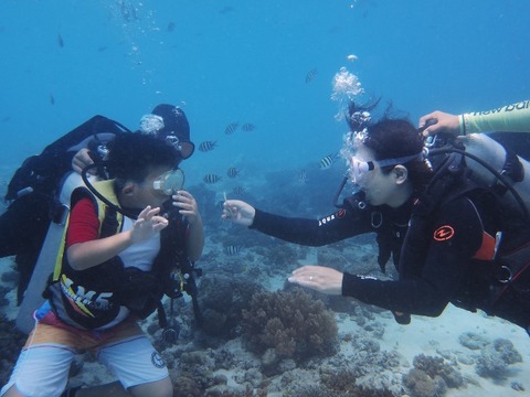 P7310162 (640x480)
