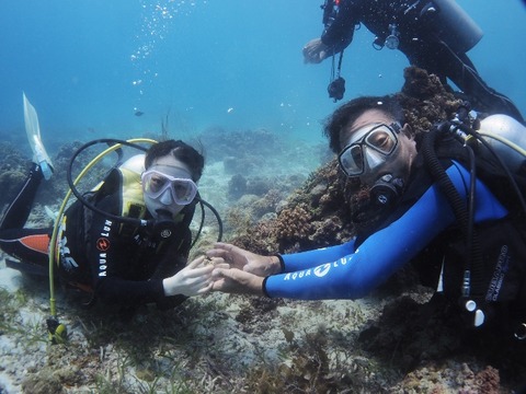 PA120020 (640x480)