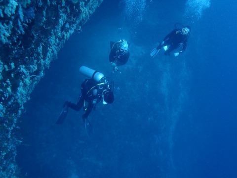 Messenger_creation_55424608-00C8-4EF3-9B39-B18604FC1F0E