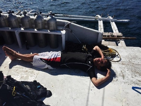 18136249_1309251779194574_251262861_n (640x480)