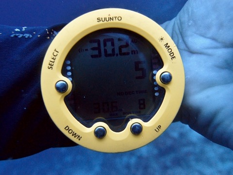 P7011944 (640x480)