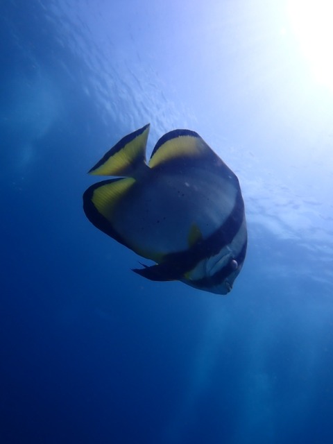 P7260038