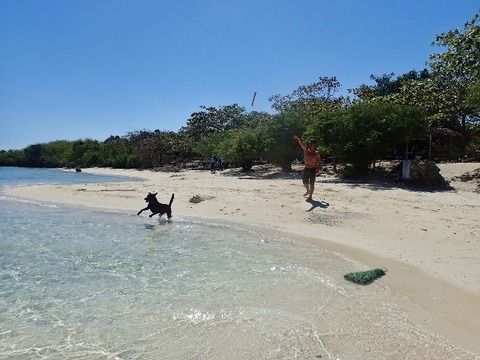 P3220255 (640x480)