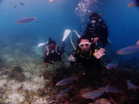 P2231184 (640x480)
